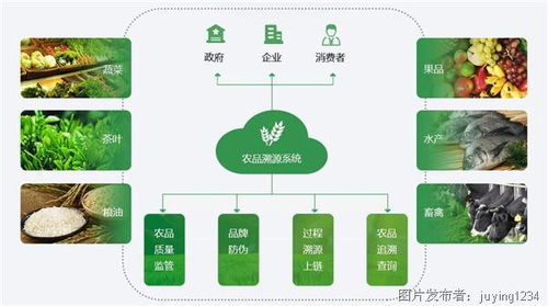 國(guó)外農(nóng)業(yè)物聯(lián)網(wǎng)應(yīng)用 精準(zhǔn)賦能，重塑農(nóng)業(yè)生產(chǎn)與服務(wù)模式